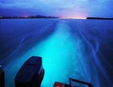  Luminous Lagoon  from  Montego Bay Hotels