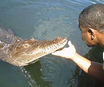 Black River Safari  &  Pelican Bar  from  Grand Palladium